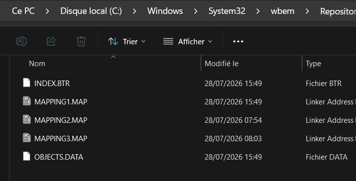 Standard content of a Repository folder